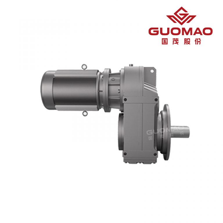 GF Series Parallel-Shaft Helical Geared Motors2