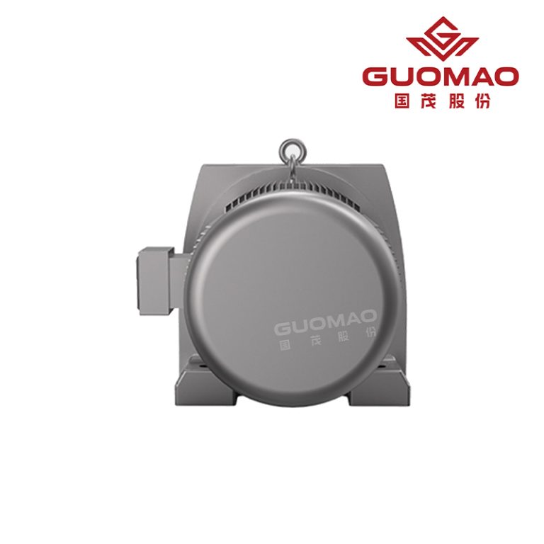 GR Series Helical Geared Motor4