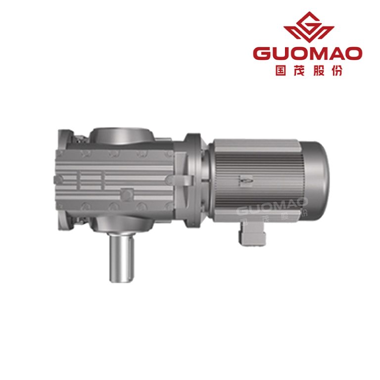 GS Series Helical-Worm Geared Motor1