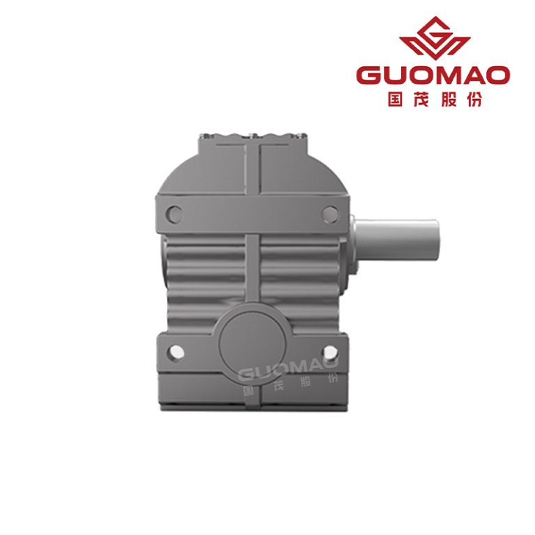 GS Series Helical-Worm Geared Motor3