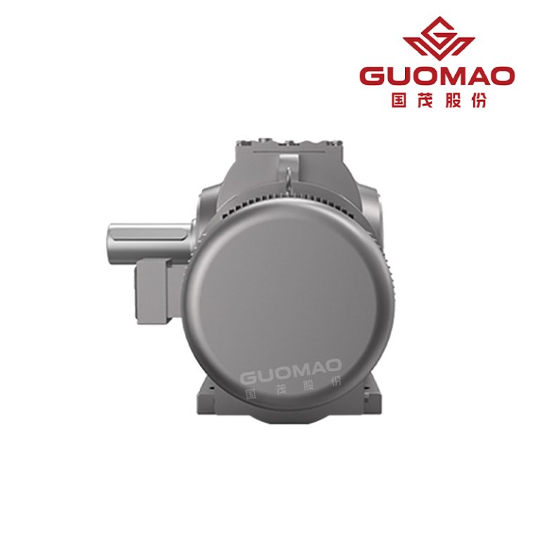 GS Series Helical-Worm Geared Motor4