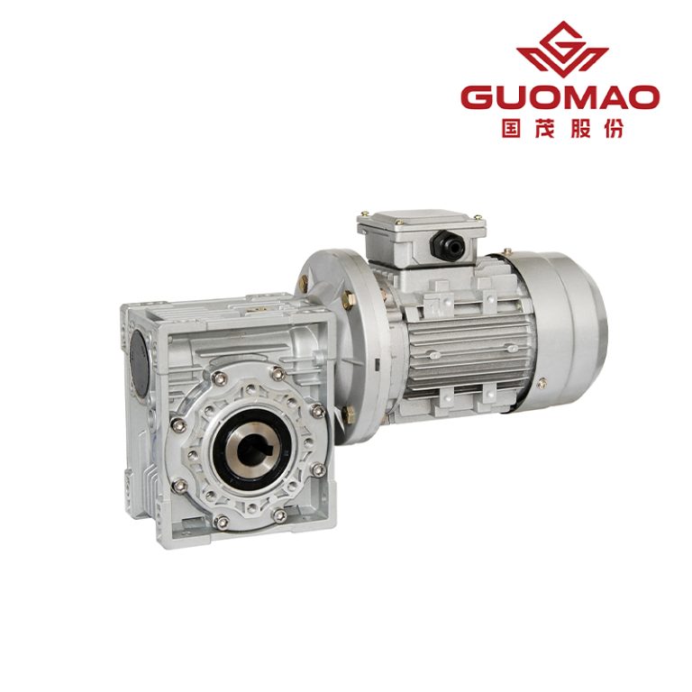 RV- Worm-Gear Speed Reducer 1