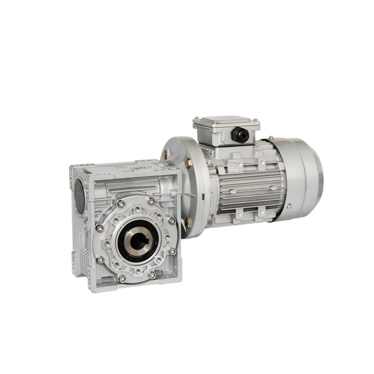 RV- Worm-Gear Speed Reducer
