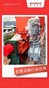 Guomao's Helical Geared Motor